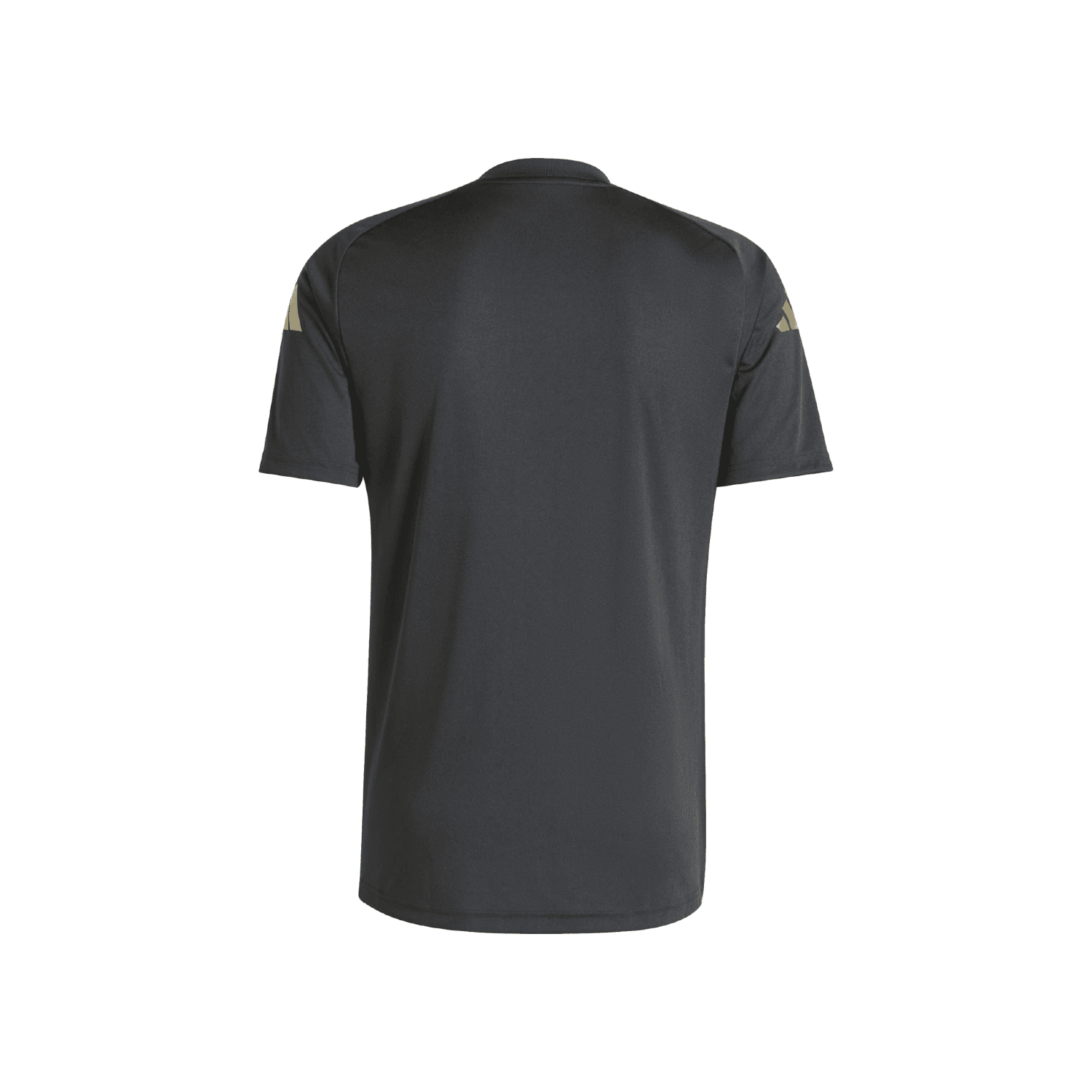 Argentina 2024 Warm Up Jersey - Men's